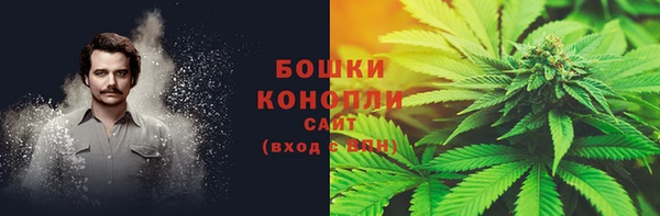 ГАЛЛЮЦИНОГЕННЫЕ ГРИБЫ Протвино
