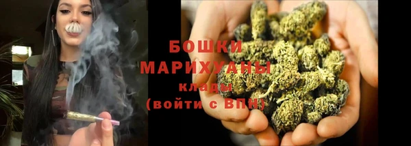 индика Покровск