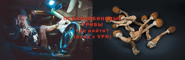 индика Покровск