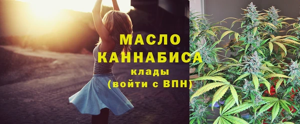 индика Покровск