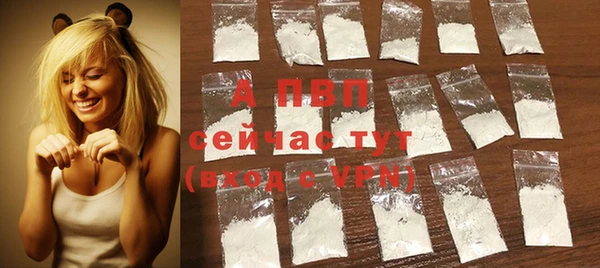 ECSTASY Покров