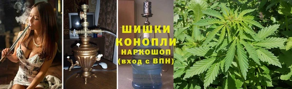 гидра Приозерск