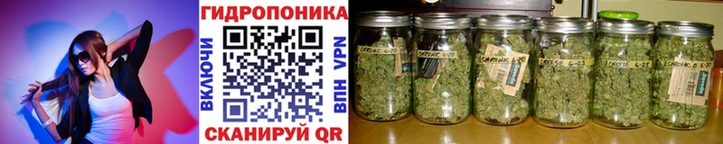 Бошки марихуана OG Kush  Купить закладки  Донецк 